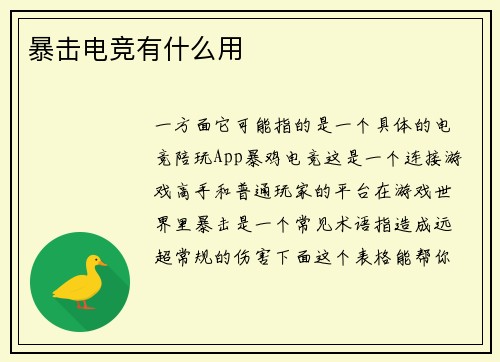 暴击电竞有什么用